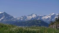 Wanderung von Schönried über den Hornberg nach Gstaad